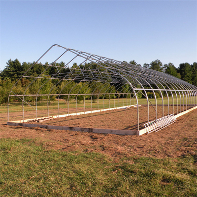 Πλαστικό άσπρο ενιαίο θερμοκήπιο έκτασης σηράγγων τετραγωνικών μέτρων 300 για την ανάπτυξη φραουλών