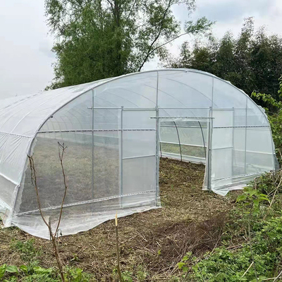 Strawberry Growing Side Ventilation Single Span Greenhouse For Agriculture