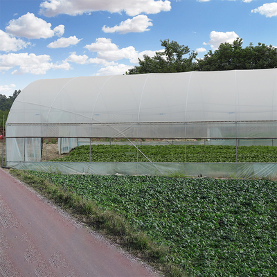 Πλαστικό ενιαίο θερμοκήπιο έκτασης γεωργίας με την πολυ διπλή ταινία πλαισίων χάλυβα σηράγγων