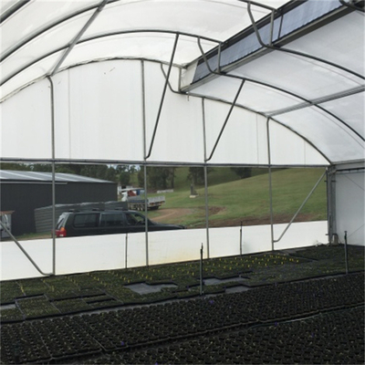 Τροπικό θερμοκήπιο πριονωτής ενιαίο έκτασης συστημάτων εξαερισμού για την ανάπτυξη λαχανικών