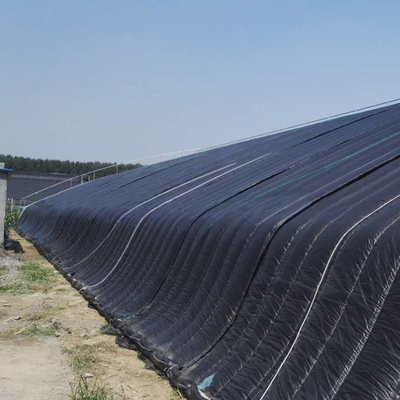 Γεωργία που καλλιεργεί την ηλιακή υδροπονική παθητική φωνή θερμοκηπίων ηλιακή