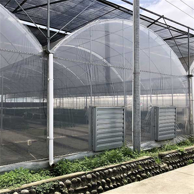 Γεωργικό εμπορικό βιομηχανικό πλαστικό πολυ θερμοκήπιο έκτασης για τη φύτευση ντοματών