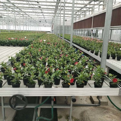 Εμπορικοί κυλώντας πάγκοι θερμοκηπίων/πάγκος θερμοκηπίων καλωδίων φυτωρίων για τα λουλούδια