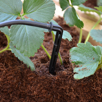 Τροφοδοτημένο σύστημα ποτίσματος θερμοκηπίων κήπων βαρύτητα μαύρο χρώμα πλαστική μάνικα σταλαγματιάς